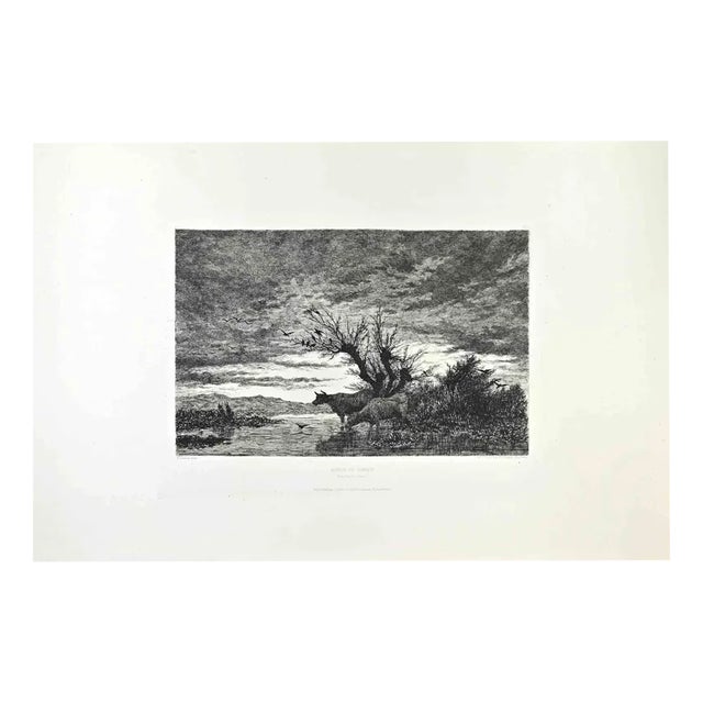 Armand Charnay, Bords du Sornin, Etching, 1860s For Sale