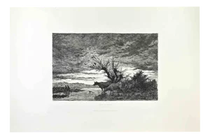 Armand Charnay, Bords du Sornin, Etching, 1860s