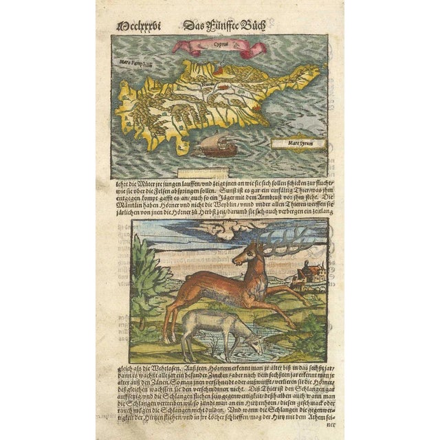 16th Century Woodblock Map of Cyprus For Sale