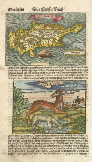 16th Century Woodblock Map of Cyprus