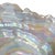 1970s Don Shepherd Style Iridescent Icescape Lettuce or Oyster Art Glass Centerpiece Bowl For Sale - Image 9 of 12