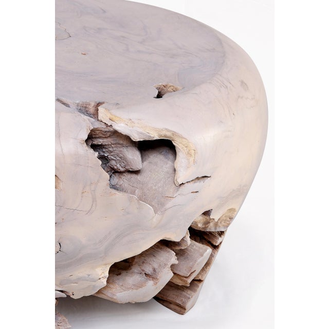 Bleached White Teak Root Accent or Side Table or Stool 23 For Sale - Image 4 of 5