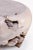 Bleached White Teak Root Accent or Side Table or Stool 23 For Sale - Image 4 of 5