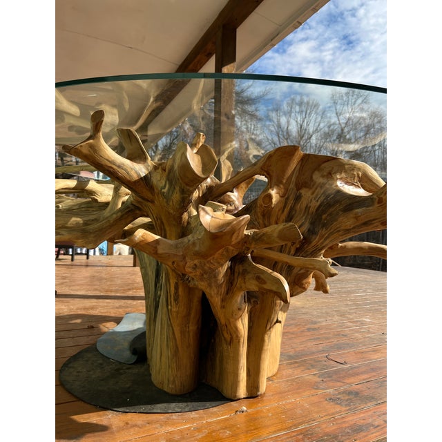 Massive Teak Root Table W/ Removable Glass Top For Sale - Image 4 of 8