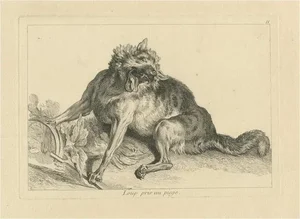 After Jean-Baptiste Oudry, Trapped Wolf, Etching, 1740