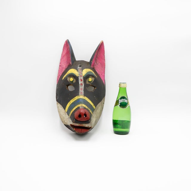 1960s 1960s Ceremonial Coyote Mask  Dance of the Morenos, Colima, Mexico For Sale - Image 5 of 5