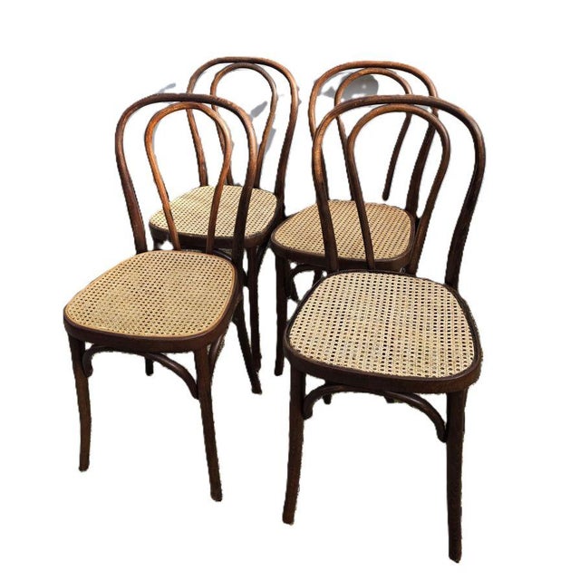 Bentwood Bistro Chairs with Cane Seats attributed to Michael Thonet for Thonet, 1950s, Set of 4 For Sale - Image 9 of 9