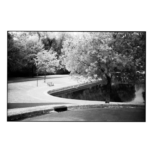 Paul Cooklin, Park, Edition of 50 For Sale