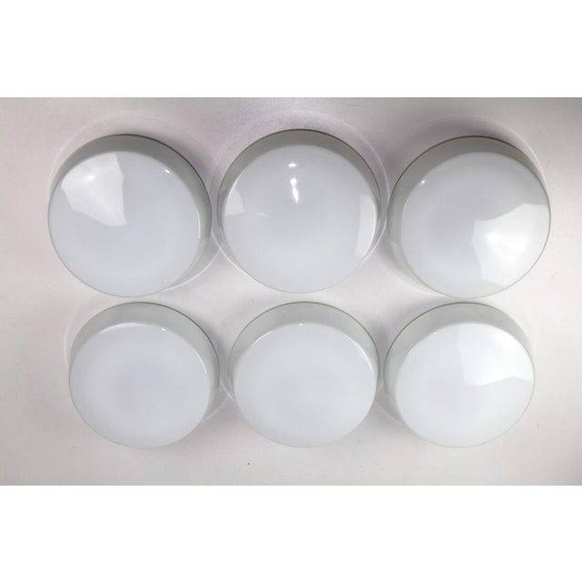 Opal Glass Ceiling or Wall Lamps from RZB Rudolf Zimmermann Bamberg, 1950s, Set of 6 For Sale - Image 15 of 18
