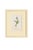 Set of Twelve Antique Alpine Botanical Chromolithographs Circa 1909 in Custom Frames. For Sale - Image 10 of 15