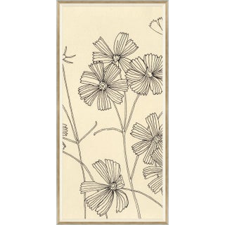 Cosmos II Framed Art Print by Susan Hable For Sale