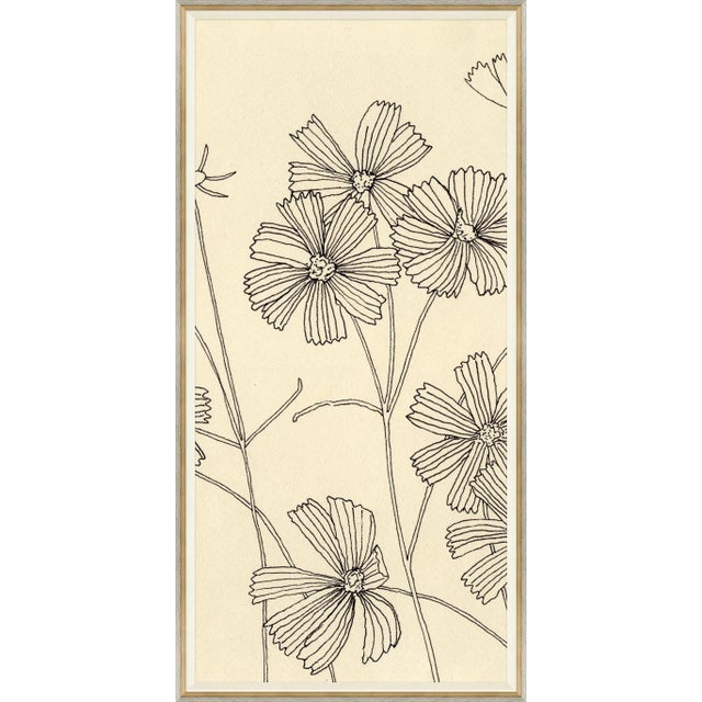 Cosmos II Framed Art Print by Susan Hable For Sale