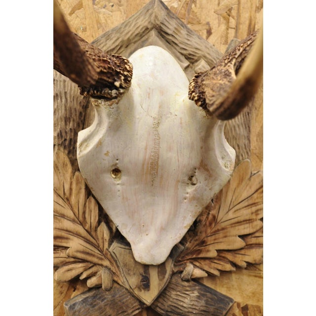 Antique Black Forest Victorian Wall Mounted Taxidermy Large Deer Skull & Antlers For Sale - Image 11 of 15