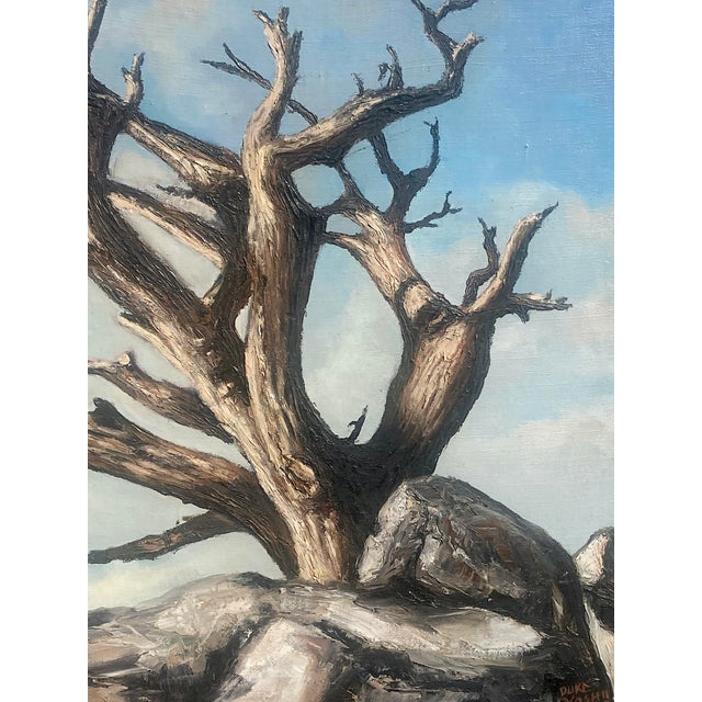 Mid-Century Modern Oil on Canvas, MCM 1960: Weathered, Sculpted Ancient Tree on Granite Outcrop, Signed Yoshii For Sale - Image 3 of 7