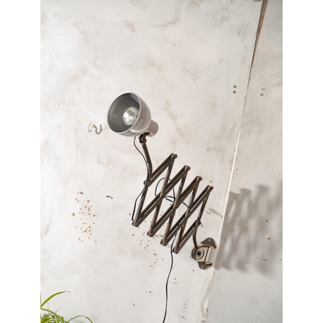 Vintage Army Green Patina Scissor Lamp from Hala, 1930s For Sale - Image 15 of 18