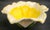 Ceramic Vintage Mid-Century Modern Daffodil by Ambiance 3-Piece Set Dessert Plate For Sale - Image 7 of 7