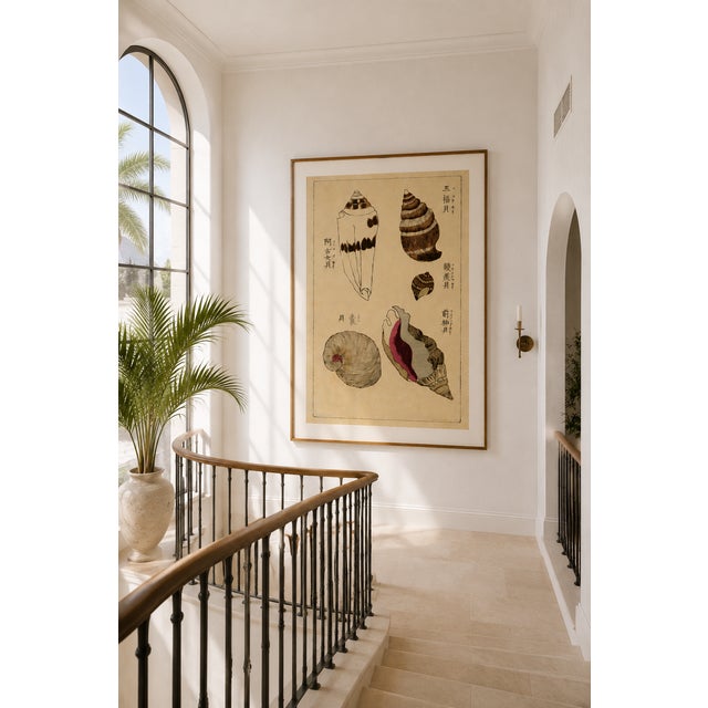 Vintage Japanese Seashells, Woodblock Print Reproduction, 40" X 60" For Sale - Image 9 of 10