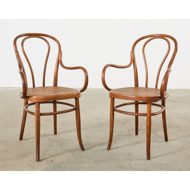 Jacob & Josef Kohn Set of Ten 19th Century J and J Kohn Bentwood Cane Armchairs For Sale - Image 4 of 12