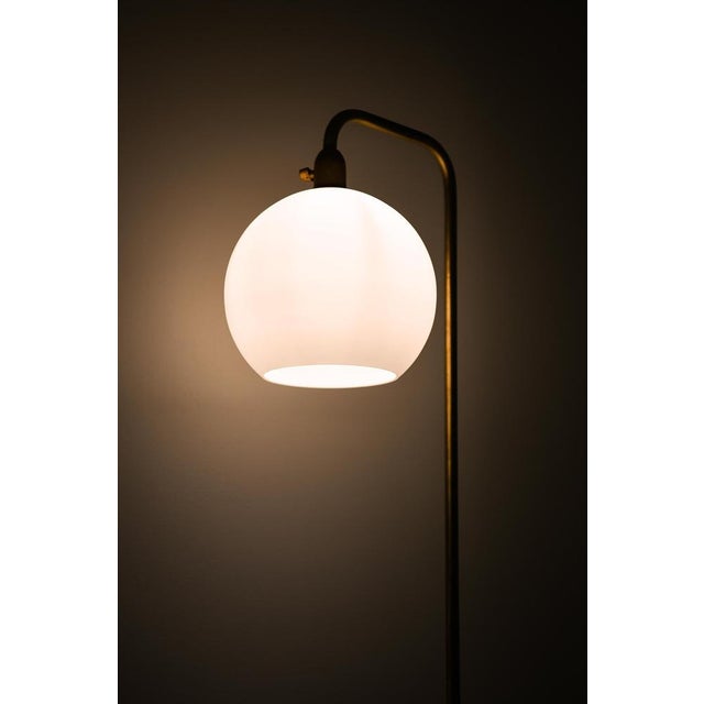 1950s Floor Lamp in Brass and Opaline Glass, 1950s For Sale - Image 5 of 8