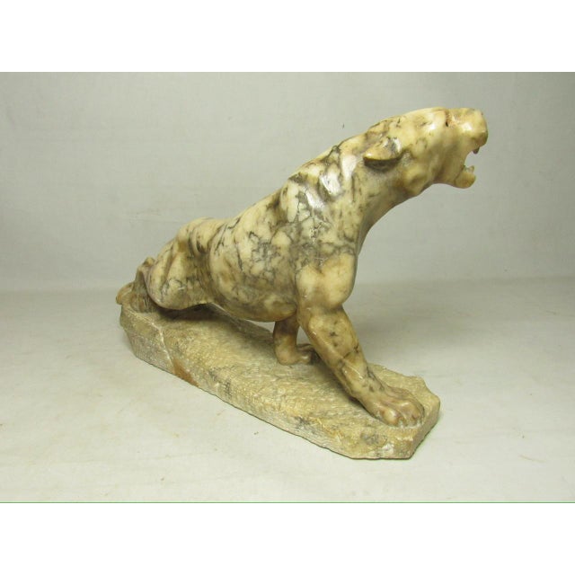 Late 19th Century Grand Tour Italian Marble Lion For Sale - Image 5 of 12