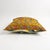 2020s Contemporary Outpost Original Gold Tulip Suzani Pillow For Sale - Image 5 of 6