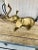 Safari 1960s Large Brass Elephant For Sale - Image 3 of 8