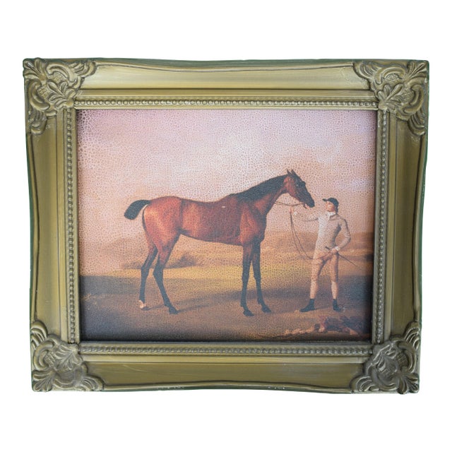 The Racehorse Molly Long Legs After George Stubbs Oleograph Reproduction on Canvas For Sale