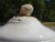 Cream Earthenware Tureen from Sarreguemines, 1890s For Sale - Image 8 of 18