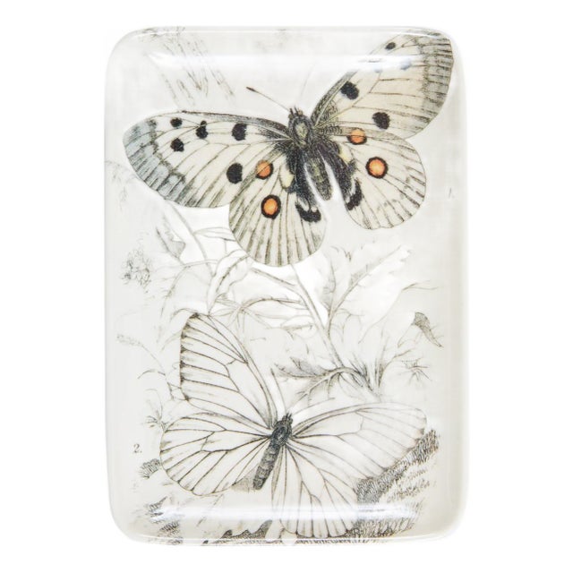 Specimen Etching Valet Tray For Sale