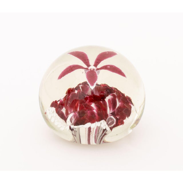 Collection of Six French, Scottish, and Murano Glass Paperweights For Sale - Image 4 of 13