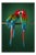 Tim Platt, Macaw #2, Photographic Fine Art Print, 2013 For Sale