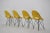 Mid-Century Modern Mid-Century Yellow Fiberglass Dining Chairs by M. Navratil, 1960s, Set of 4 For Sale - Image 3 of 16
