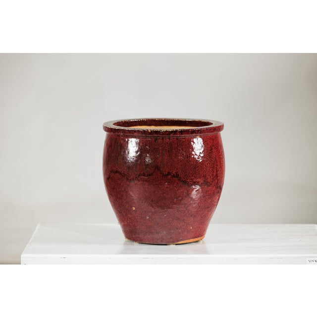 Ceramic Vintage Chinese Oxblood Glazed Ceramic Planter with Flared Rim For Sale - Image 7 of 18