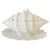 Mid-Century Modern 1970s Italian White Porcelain Conch Shell Tureen Set With Underplate & Ladle - 4 Pieces For Sale - Image 3 of 10