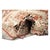 Turkish Serapi Wool 16X25 Rust, Black & Tan Handmade Area Rug #1141351 For Sale - Image 10 of 10