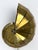 Mid-Century Modern Mid-Century Modern Brass Sconce from Natilius, Germany, 1960s For Sale - Image 3 of 18