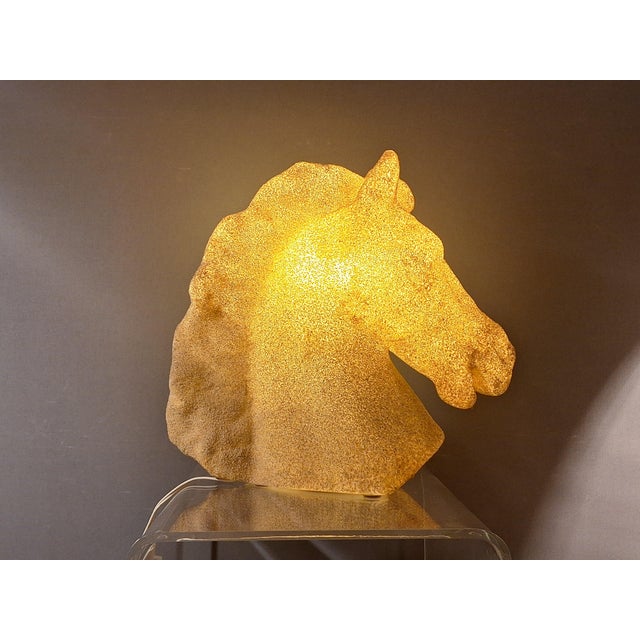 Horse Head Light Object by by Luciano Sartoni, Italy, 1970s For Sale - Image 6 of 6