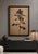 Monumental Black Rose Study on Paper — Attributed to Georgian Artist Lado Gorgadze For Sale - Image 4 of 4