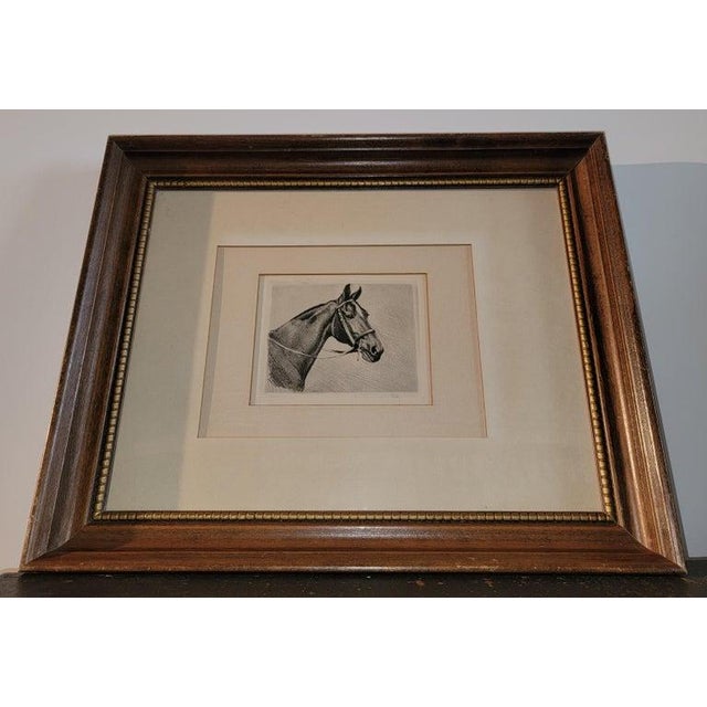 19th C signed Framed Horse Litho By Olso.