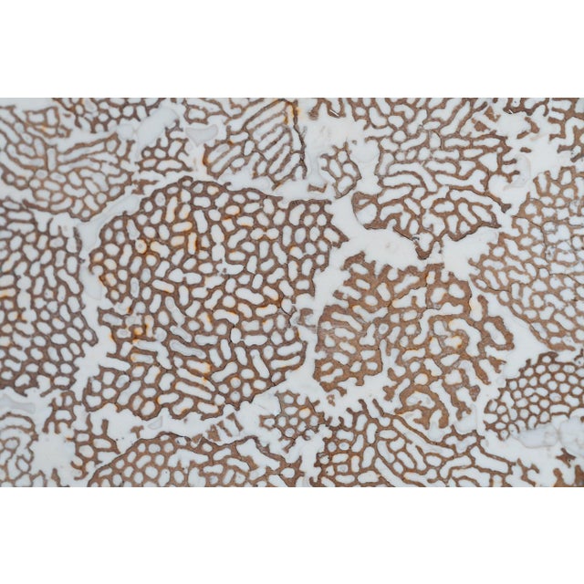 Elite Coffee Table with Termite and Resin Top, 1990s For Sale - Image 9 of 12