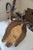 White Tail Deer Head & Shoulder Mount For Sale - Image 18 of 18