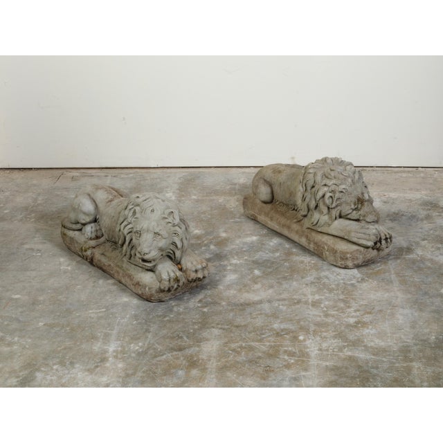 Pair of English 1920s Cast Stone Reclining Lion Sculptures on Conforming Bases For Sale - Image 4 of 10