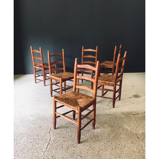 Low Rustic Ladder Back Dining Chairs in Oak and Rush, Belgium, 1950s, Set of 6 For Sale - Image 13 of 18