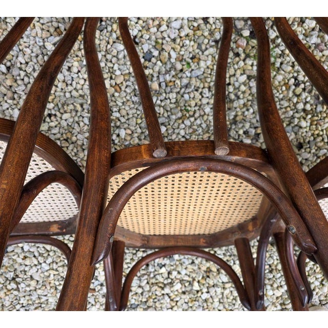 Brown Bentwood Bistro Chairs with Cane Seats attributed to Michael Thonet for Thonet, 1950s, Set of 4 For Sale - Image 8 of 9