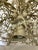1970s 1970's Mid-Century Modern Faux Coral Reef Style Meyda Style Chandelier For Sale - Image 5 of 13