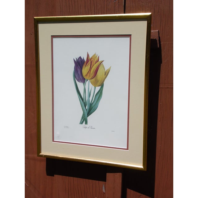 Vintage Framed Limited Edition Redoute Botanical Lithograph Langlois Old Mission Gallery For Sale - Image 4 of 11