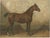After Eerelman, Holstein Horse Portrait,.1898, Lithograph For Sale - Image 10 of 10