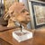 19th Century Terracotta Putto Angel Head Sculpture on Acrylic Base For Sale - Image 10 of 10