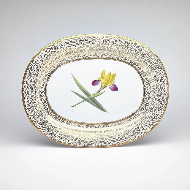 Early 19th Century Chamberlain's Worcester Porcelain Botanical Oval Dish Painted With an Iris Circa 1815 For Sale - Image 5 of 5