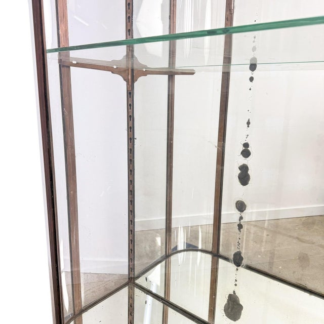 Large Antique Metal Museum Display Cabinet with Curved Glass, 1890s For Sale - Image 12 of 18